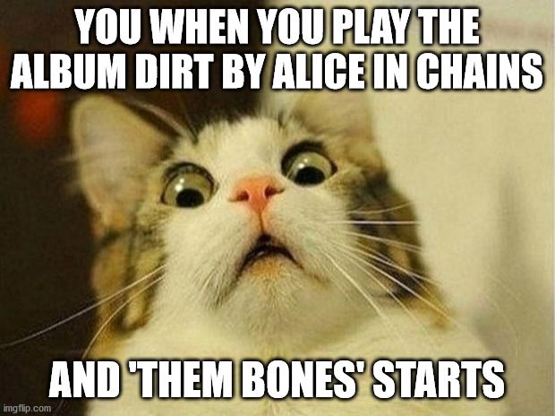 alice in chains memes