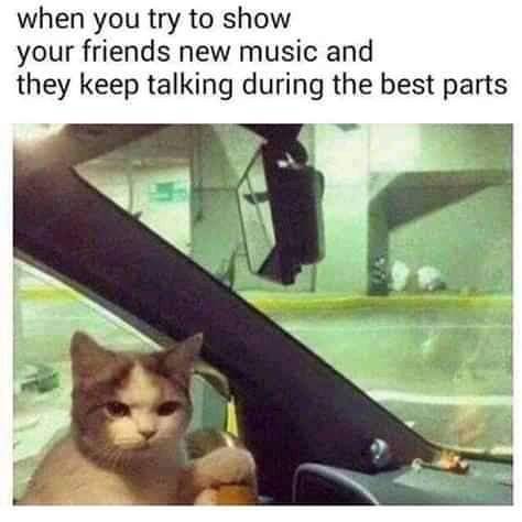 BEST DANK CAT MEMES COMPILATION OF 2021 PART 44 (Funny Cats) 