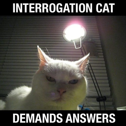 Demonstrating Their Paranoid Style: Notes on The Interrogator