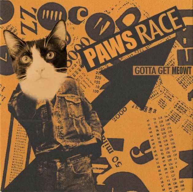 Cool For Cats: New Record Recommendations For Now Enough People (like you)